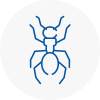 Ant Removals In Kempston