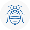 Bed Bug Extermination In Kempston
