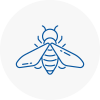 Bee Nest Removal Kempston