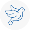 Bird Prevention Kempston