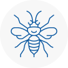 Kempston Hornet Nest Removals