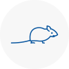 Mice Exterminators In Kempston