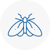 Moth Control Specialists In Kempston