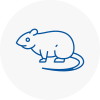Rat Control Kempston