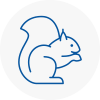 Kempston Rodent Removals