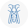 Kempston Wasp Nest Removal